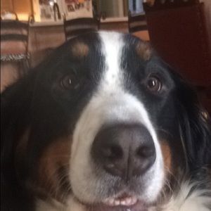 Meet your Posher, Zach